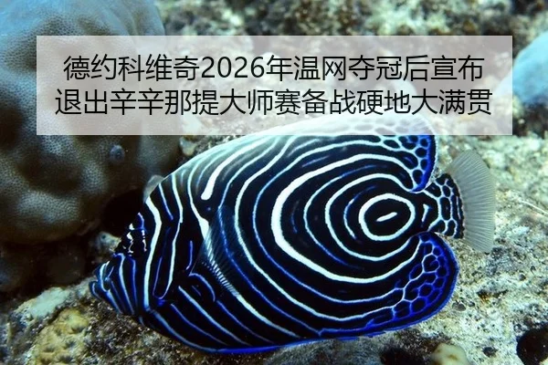 de-yue-ke-wei-qi-nian-wen-wang-duo-guan-hou-xuan-bu-tui-chu-xin-xin-na-ti-da-shi-sai-bei-zhan-ying-di-da-man-guan-3-669.jpg